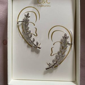 Beautiful earrings